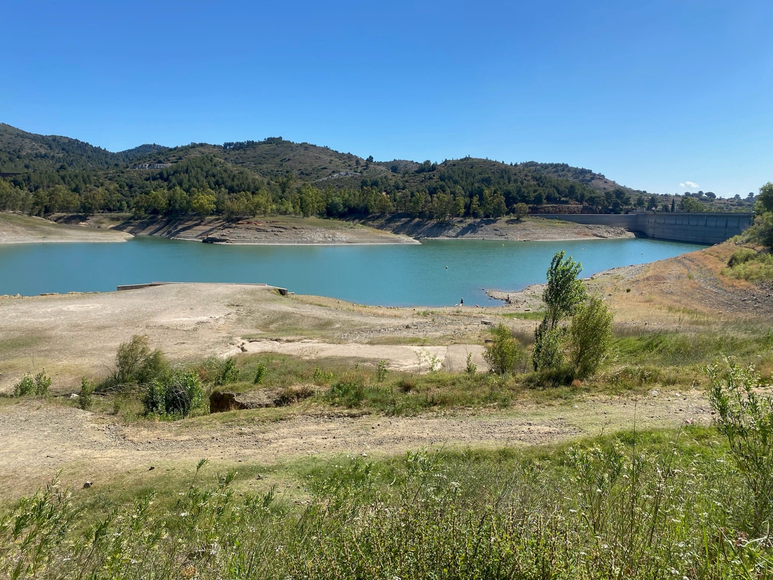 Entorno: pantano
